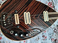 Profesyonel Elektro Bağlama