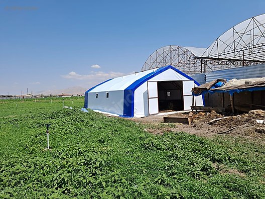 Pets & Livestock / Accessories / Poultry & Fowl / Cage & Coop