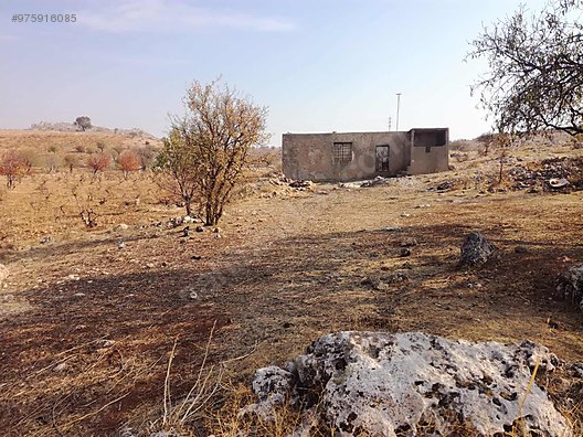 mardin artuklu nur mahallesi satilik uzum bagi satilik arsa ilanlari sahibinden com da 975916085 mardin artuklu nur mahallesi satilik uzum bagi satilik arsa ilanlari sahibinden com da 975916085