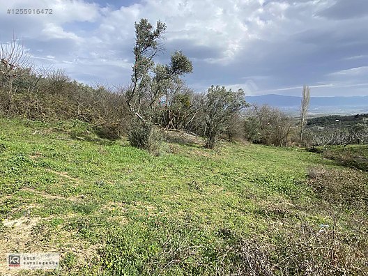 KR GOLD'DAN AKKÖY MH.421 M2 MÜSTAKİL PARSEL SATILIK ARAZİ #1255916472