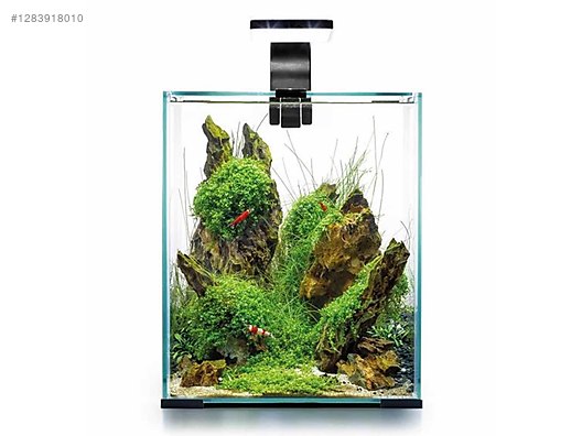 Pets & Livestock / Accessories / Fish / Aquariums