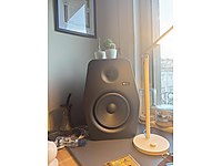 8 inc monkey banana referans monitörü