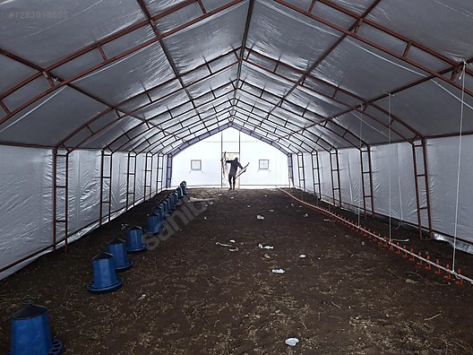 Pets & Livestock / Accessories / Poultry & Fowl / Cage & Coop