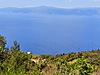 MUDANYA ALTINTAŞ TA DENİZ MANZARALI HOBİ BAHÇESİ ZEYTİNLİK