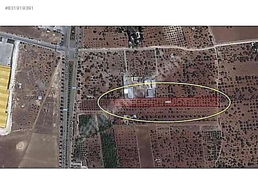 Gaziantep Havaalani Yolu Fistik Bag Satilik Arsa Ilanlari Sahibinden Com Da 831919391