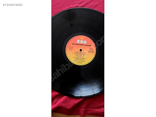 İkinci El ve Sıfır Alışveriş / Müzik / Albümler / Plak / Pop