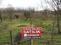 Sakarya Arsa Ilanlari Ve Fiyatlari Sahibinden Com Da