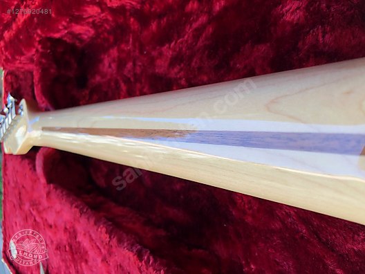 Fender Elektro Gitar