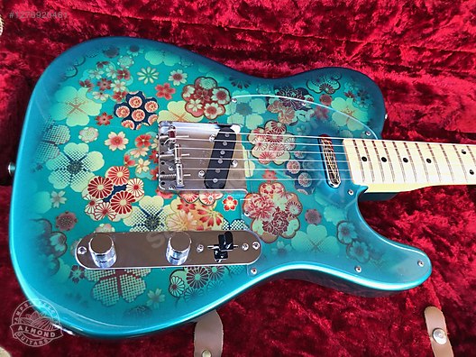 Fender Elektro Gitar