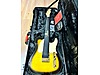 Fender Elektro Gitar