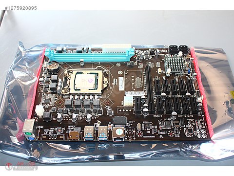 Esonic B250 Btc Gladiator 12LI Anakart G3900 Anakart Anakart