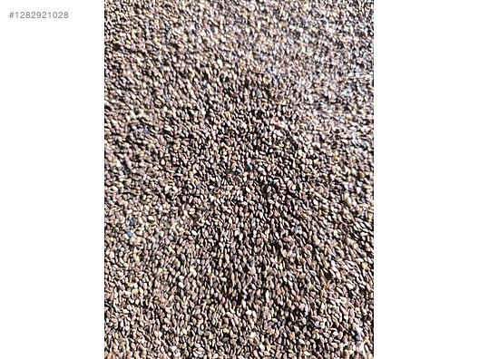 Used & Brand New Items / Foods & Feed / Spices