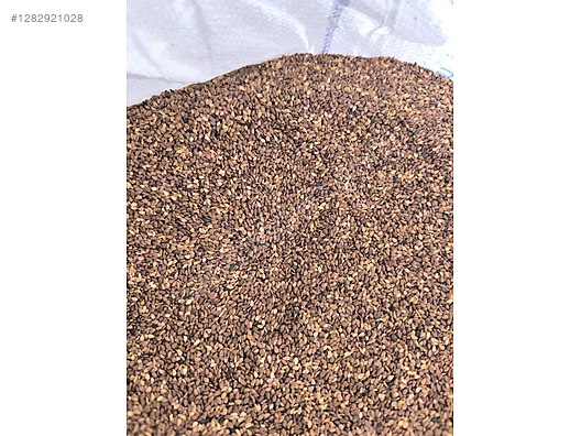 Used & Brand New Items / Foods & Feed / Spices