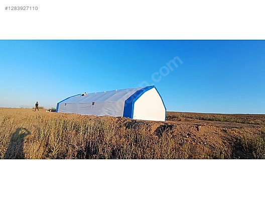 Pets & Livestock / Accessories / Large & Small Livestock