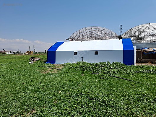 Pets & Livestock / Accessories / Large & Small Livestock