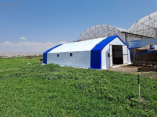 Pets & Livestock / Accessories / Large & Small Livestock