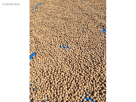 İkinci El ve Sıfır Alışveriş / Yiyecek & İçecek / Kuruyemiş