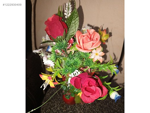 Used & Brand New Items / Garden & Home Improvement / Garden / Plants & Flowers / Flowering Plants