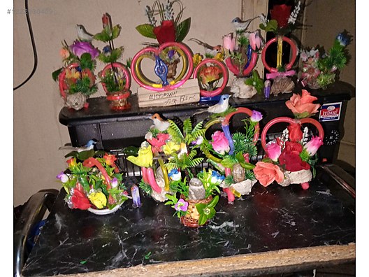 Used & Brand New Items / Garden & Home Improvement / Garden / Plants & Flowers / Flowering Plants