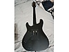 Schecter Elektro Gitar