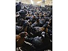 Pets & Livestock / Poultry & Fowl / Chickens