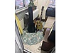 İkinci El ve Sıfır Alışveriş / Müzik / Müzik Aletleri / Telli Çalgılar / Gitar / Elektro