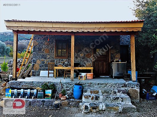 ozgur budak ilanlari sahibinden com da ozgur budak ilanlari sahibinden com da