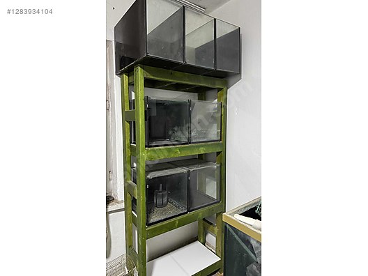 Pets & Livestock / Accessories / Fish / Aquariums