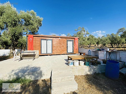 ALÂ&amp;#39;DAN KIRCAĞIZ&amp;#39;DA SATILIK EVİ OLAN ZEYTİNLİK - Satılık Arsa İlanları ...