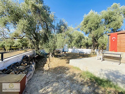 ALÂ&amp;#39;DAN KIRCAĞIZ&amp;#39;DA SATILIK EVİ OLAN ZEYTİNLİK - Satılık Arsa İlanları ...