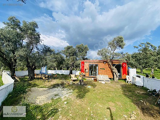 ALÂ&amp;#39;DAN KIRCAĞIZ&amp;#39;DA SATILIK EVİ OLAN ZEYTİNLİK - Satılık Arsa İlanları ...