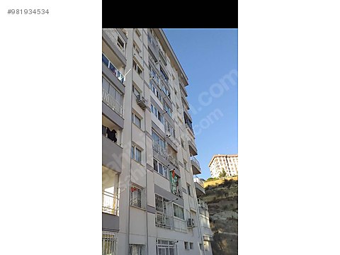 sahibinden kiralik 3 1 dogalgazli kiralik daire ilanlari sahibinden com da 981934534