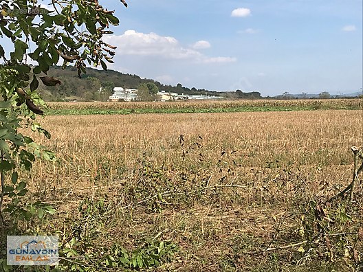 sakarya adapazari mahmudiye koyunde satilik tarla satilik arsa ilanlari sahibinden com da 738935430 sakarya adapazari mahmudiye koyunde satilik tarla satilik arsa ilanlari sahibinden com da 738935430