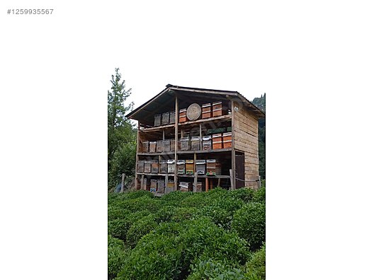 İkinci El ve Sıfır Alışveriş / Yiyecek & İçecek / Şarküteri / Bal