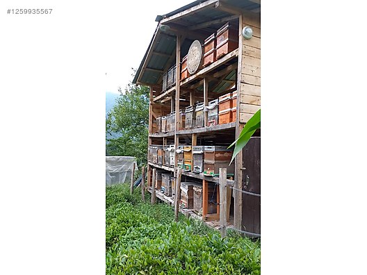 İkinci El ve Sıfır Alışveriş / Yiyecek & İçecek / Şarküteri / Bal