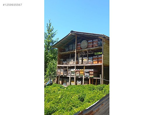 İkinci El ve Sıfır Alışveriş / Yiyecek & İçecek / Şarküteri / Bal