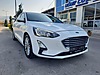 Vasıta / Otomobil / Ford / Focus / 1.5 EcoBlue / Titanium