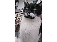 BAŞKA YERE ATACAKLAR #1282937147