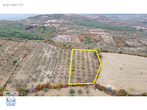 TURYAP Bergama - Karalar Mah. 5.102m2 Satılık Müstakil...