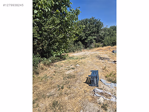 ALTAY EMLAKTAN YEŞİLAĞAÇ MAHALLESİNDE SATILIK BAĞ...