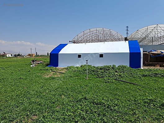 Pets & Livestock / Accessories / Large & Small Livestock