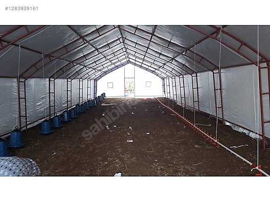 Pets & Livestock / Accessories / Large & Small Livestock