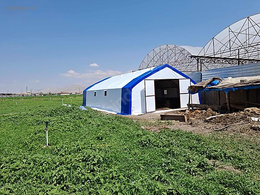 Pets & Livestock / Accessories / Large & Small Livestock