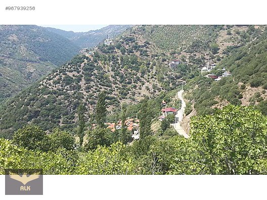 aydin nazilli catak mahallesi parsel satilik arsa ilanlari sahibinden com da 967939256