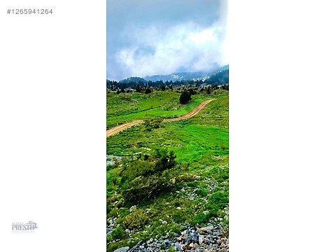 ALANYA DERETÜRBELİNAS KÖYÜ SATILIK 30 DÖNÜM ARAZİ