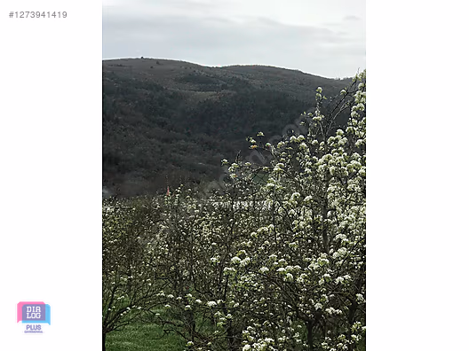 DIALOG PLUS'dan HUZUR LİFE Projesi'nde SATILIK HOBİ BAHÇESİ! #1273941419