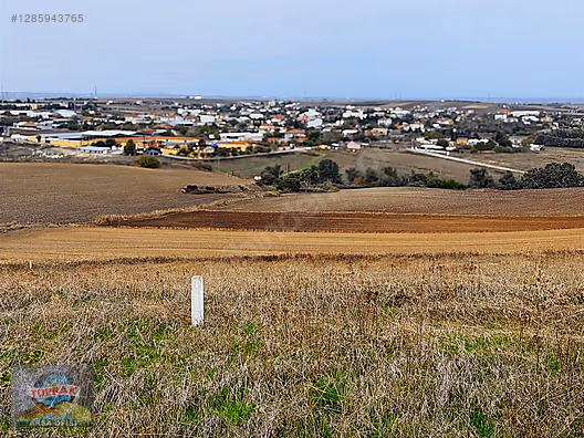 YENİÇİFTLİKTE KELEPİR TARLA ___ #1285943765