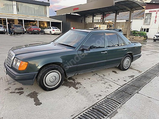 İkinci El ve Sıfır Alışveriş / Bilgisayar / Domain, Hosting & Yazılım / Domain (Alan Adı)