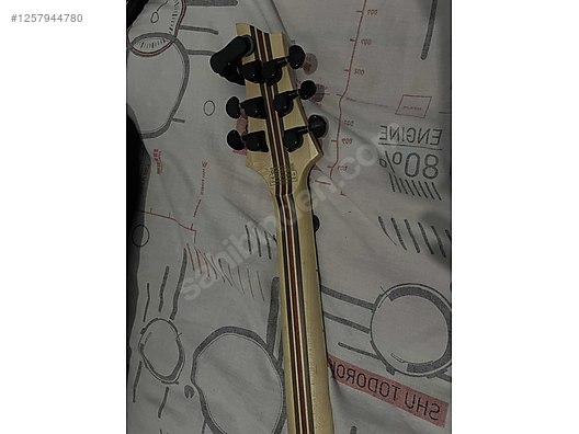 Schecter Elektro Gitar