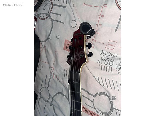 Schecter Elektro Gitar